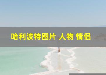 哈利波特图片 人物 情侣